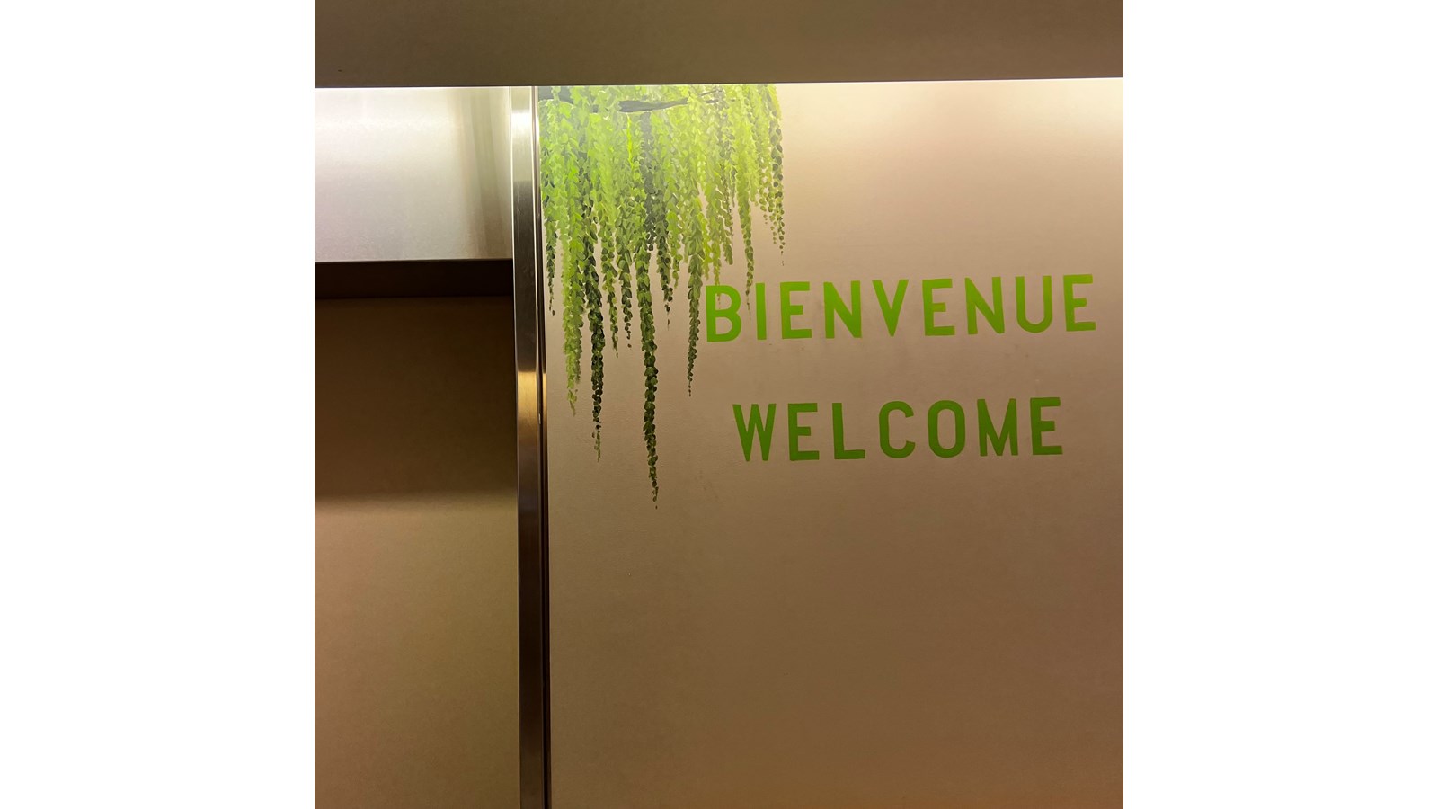 Les murales «Arbres de vie» sont créées à l'hôpital Sainte-Anne