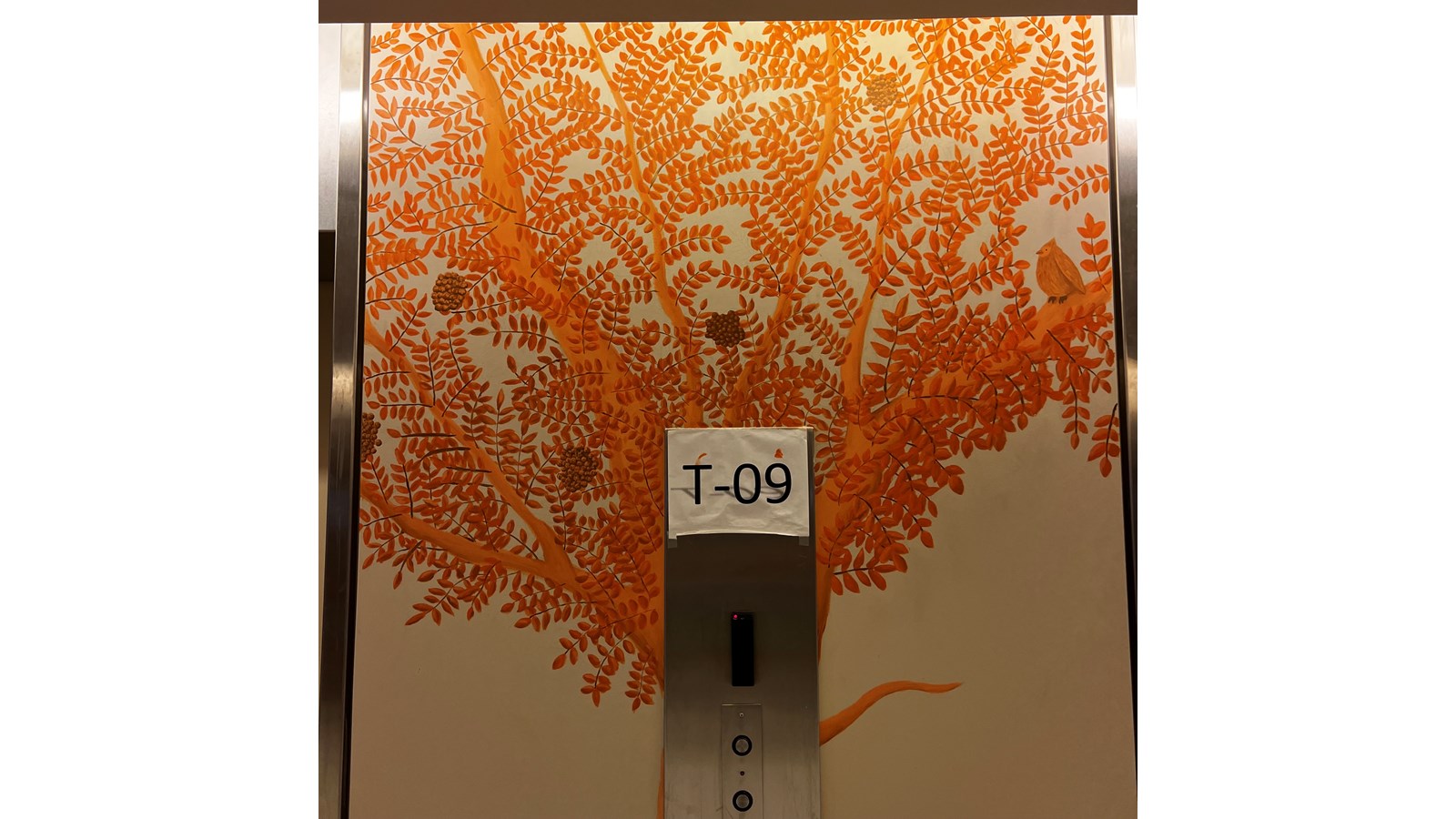 Les murales «Arbres de vie» sont créées à l'hôpital Sainte-Anne
