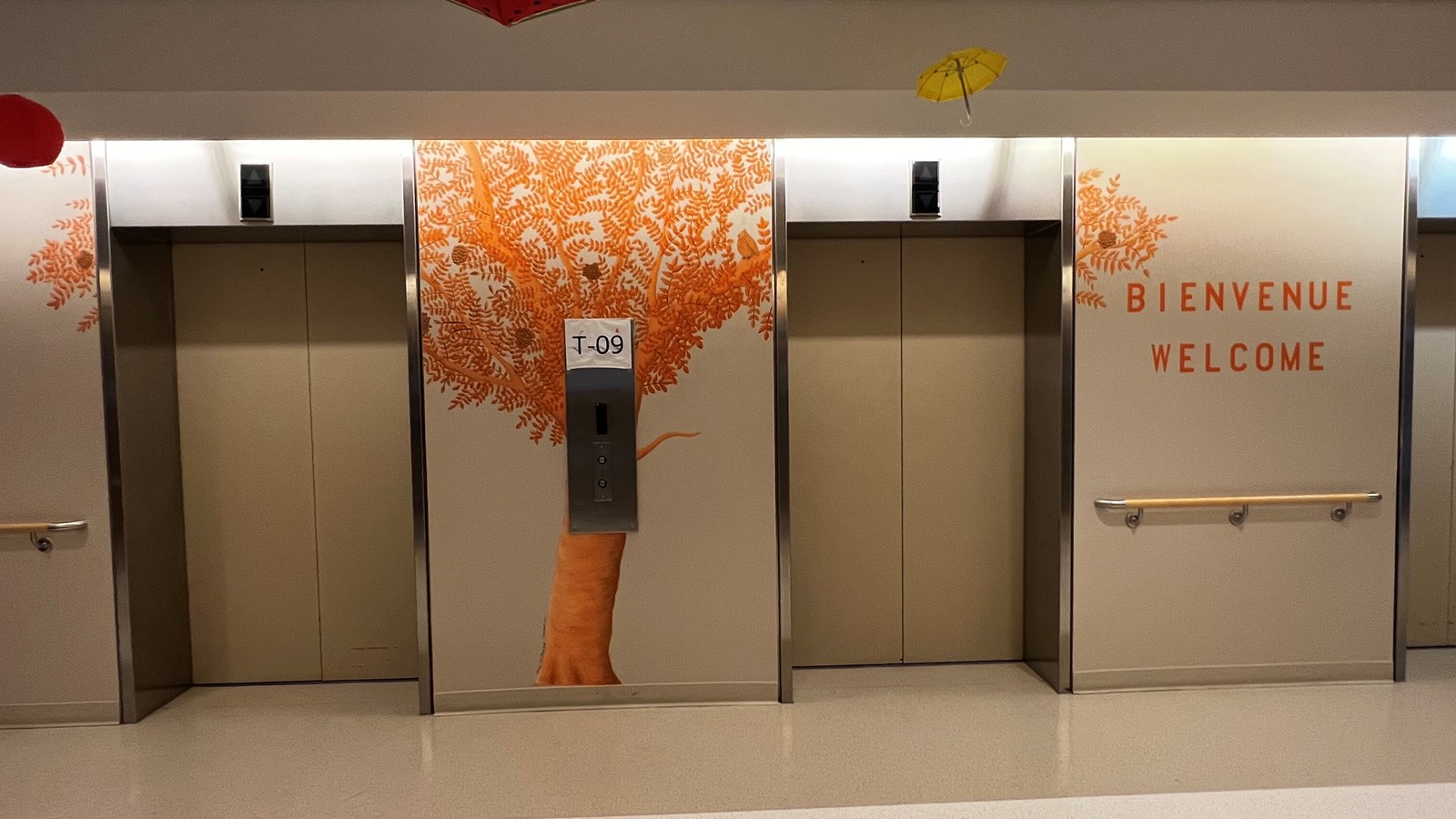 Les murales «Arbres de vie» sont créées à l'hôpital Sainte-Anne