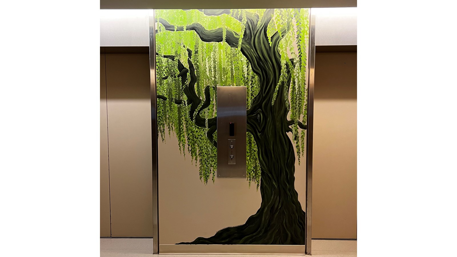 Les murales «Arbres de vie» sont créées à l'hôpital Sainte-Anne