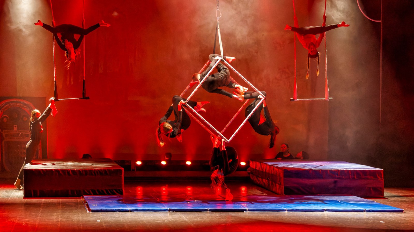 Retour en images sur le spectacle de cirque de l'école primaire Harwood
