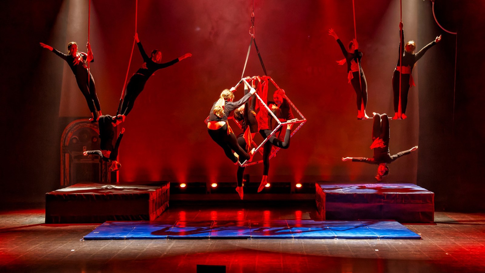 Retour en images sur le spectacle de cirque de l'école primaire Harwood