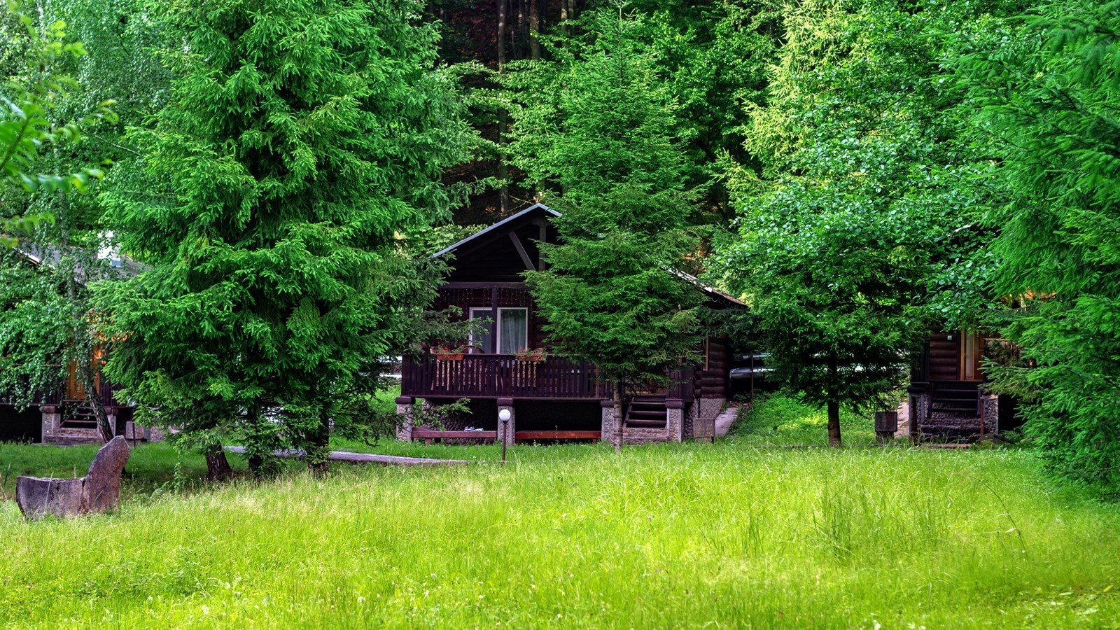 La Ville de Rigaud souligne le Mois de l'arbre et des forêts 