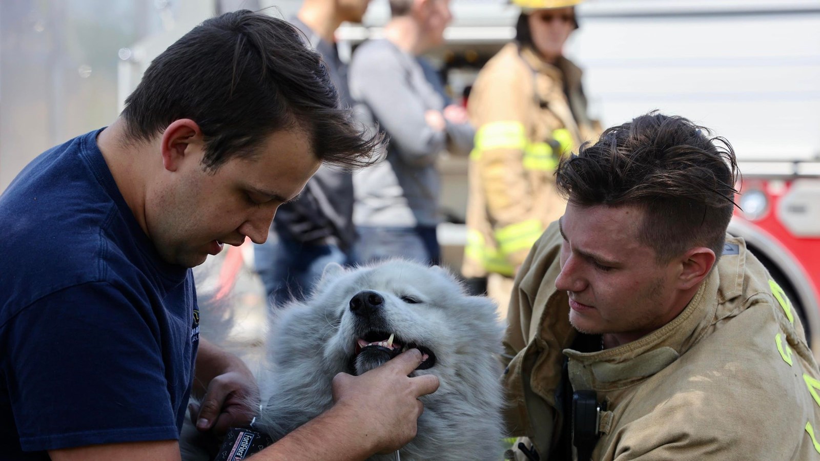 Josh Charlton (left) and a Saint Lazare firefighter assist Lucas after Charlton rescued the dog from a fire in a basement dwelling on Chemin Ste-Angélique this afternoon.