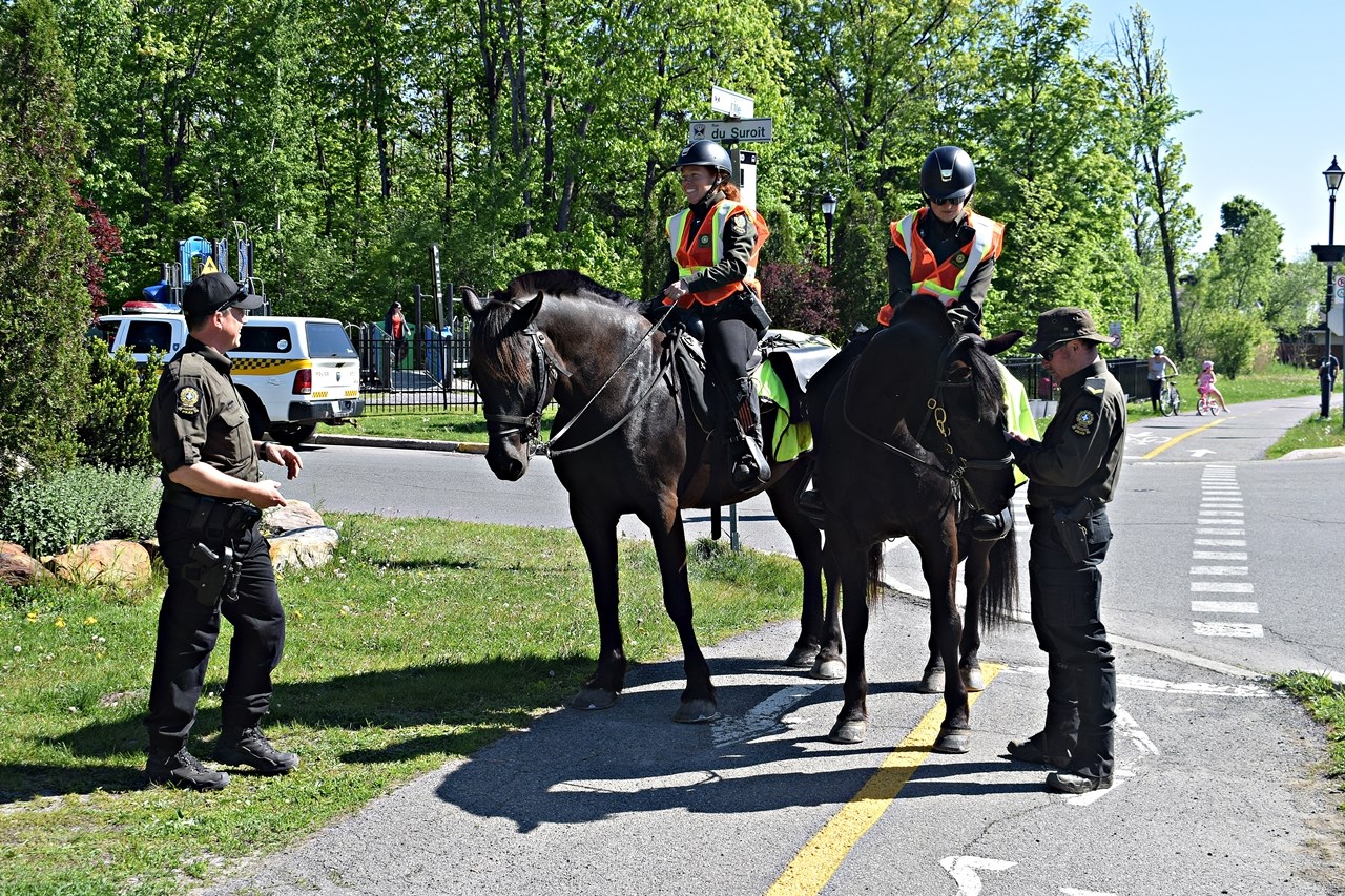 Sûreté du Québec mounted police officers participate in the search for Maurice Beauregard 82
and his dog in Pincourt on May 22 after they were reported missing the previous day.