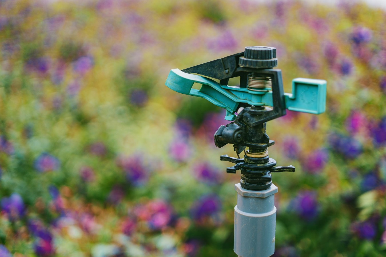 The Town of Hudson has imposed a watering ban throughout the municipality.