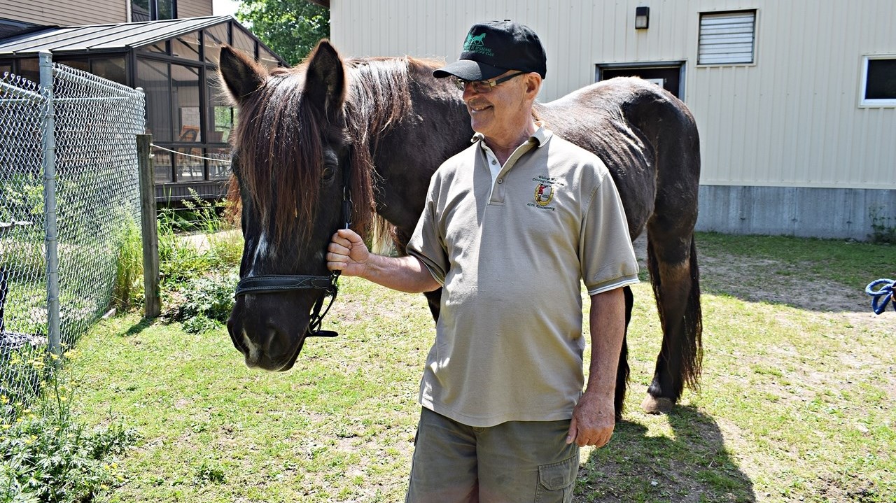 Mayor Lachance says first Horse Day a "great success"