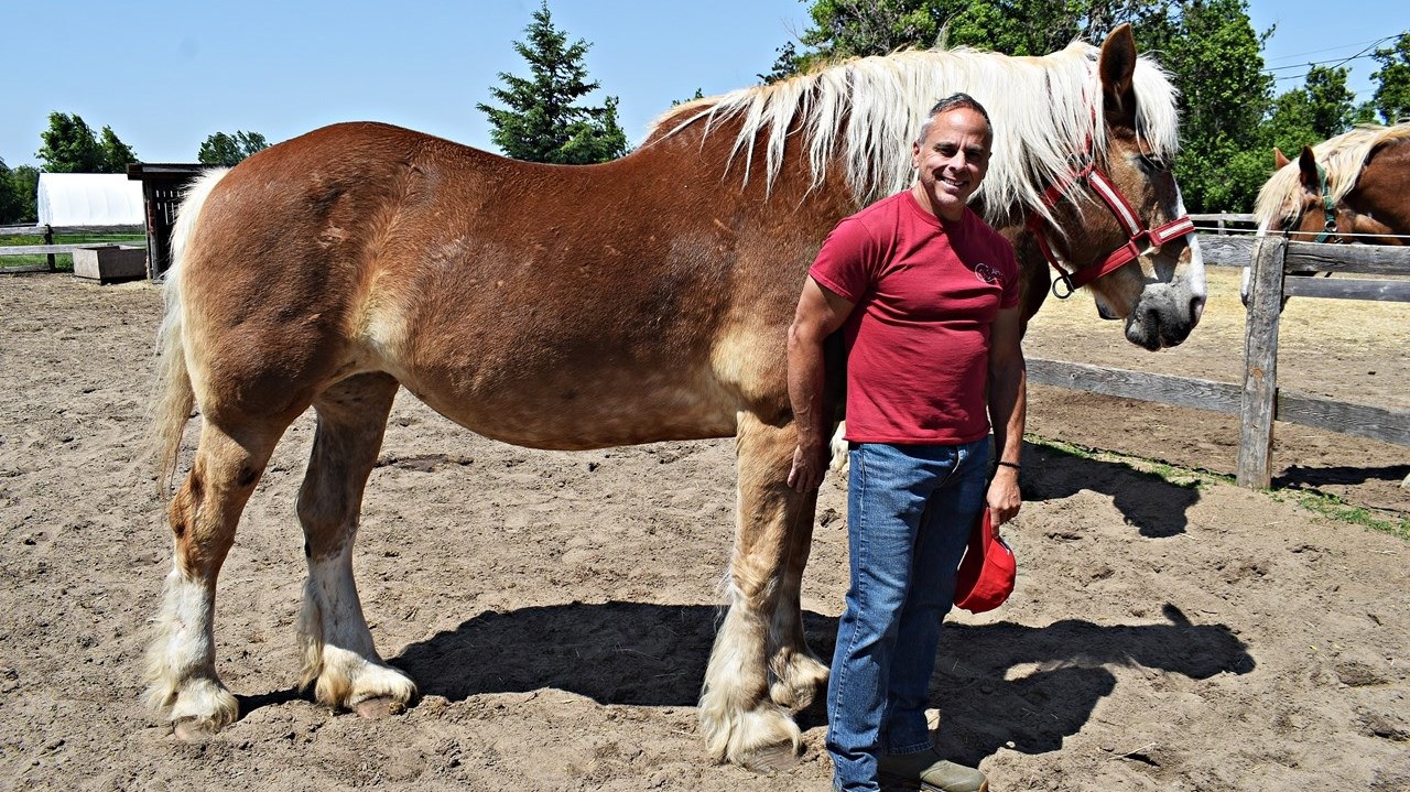 Director General General Michael Grenier of A Horse Tale in Vaudreuil-Dorion welcomed visitors to its stables as part of Saint Lazare's first Horse Day on June 3.