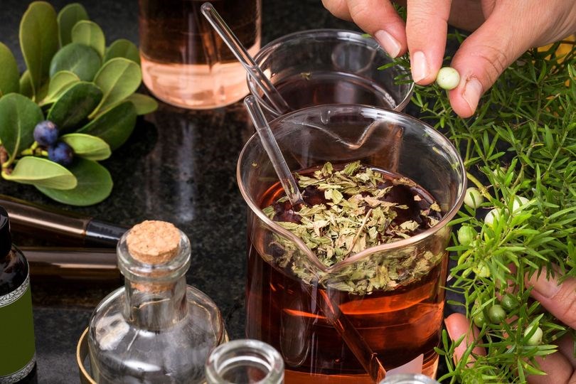 Apprendre à fabriquer ses propres produits avec des plantes médicinales 