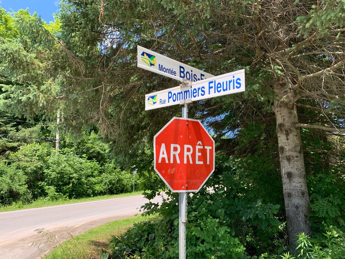 Très-Saint-Rédempteur confirme les travaux de réfection de chaussée
