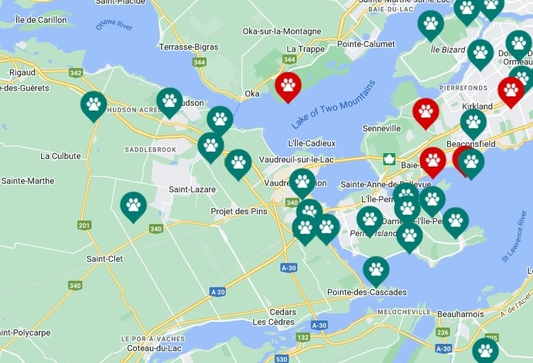 DogPack app provides info regarding dog parks and trails