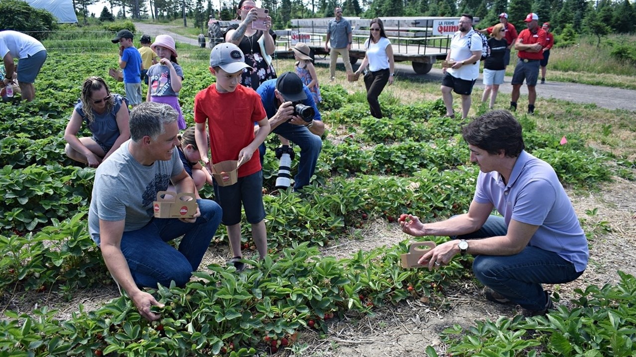 Prime Minister Trudeau enjoys outing to pick strawberries
