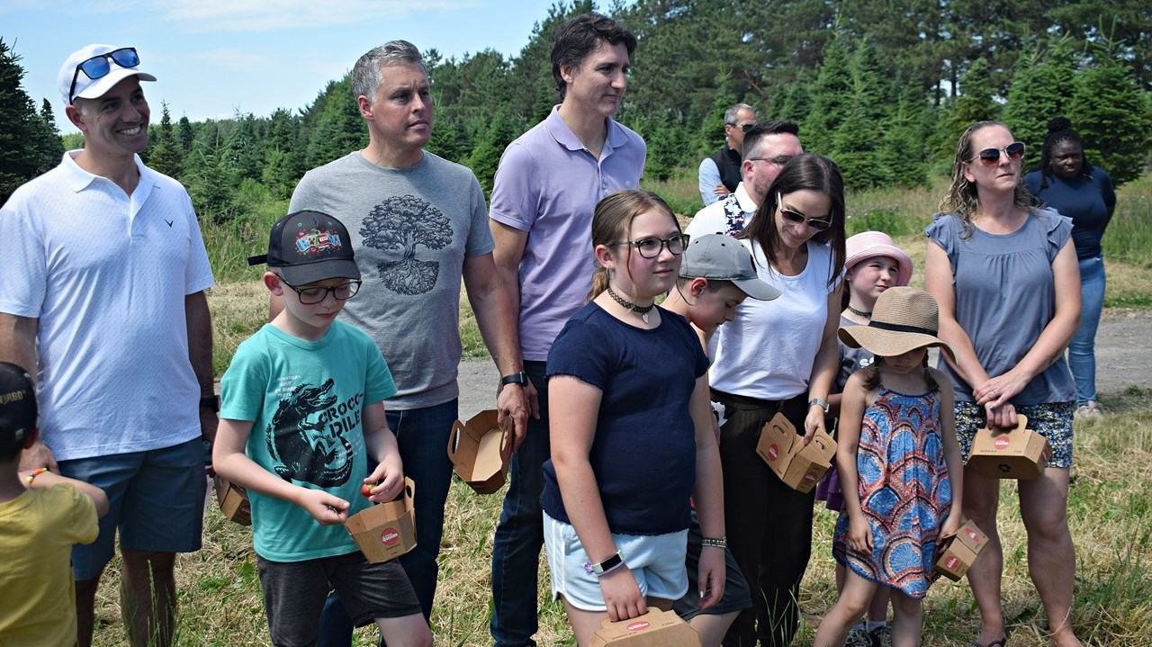 Vaudreuil-Soulanges MP Peter Schiefke (2nd from left) stands next to Prime Minister Justin Trudeau during an impromptu visit to pick strawberries at La Ferme Quinn in Notre-Dame-de-l'Île-Perrot this afternoon, June 23.