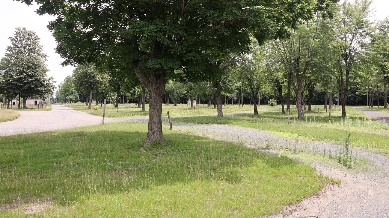 Redéveloppement de l'ancien camping Koa: un projet qui divise