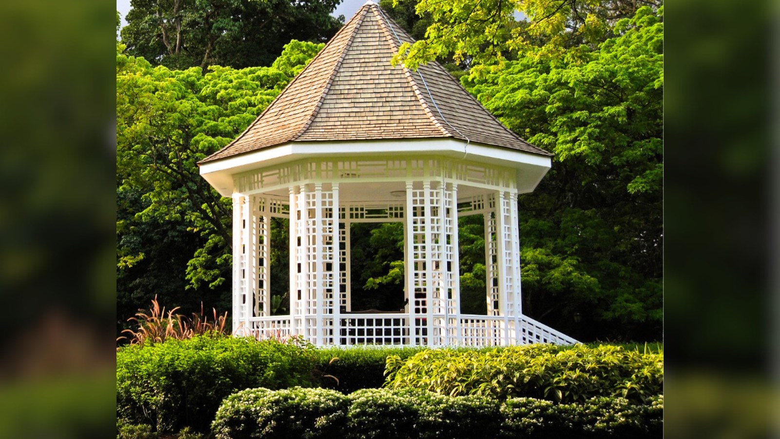 Vote for the "Gazebo gourmand"
