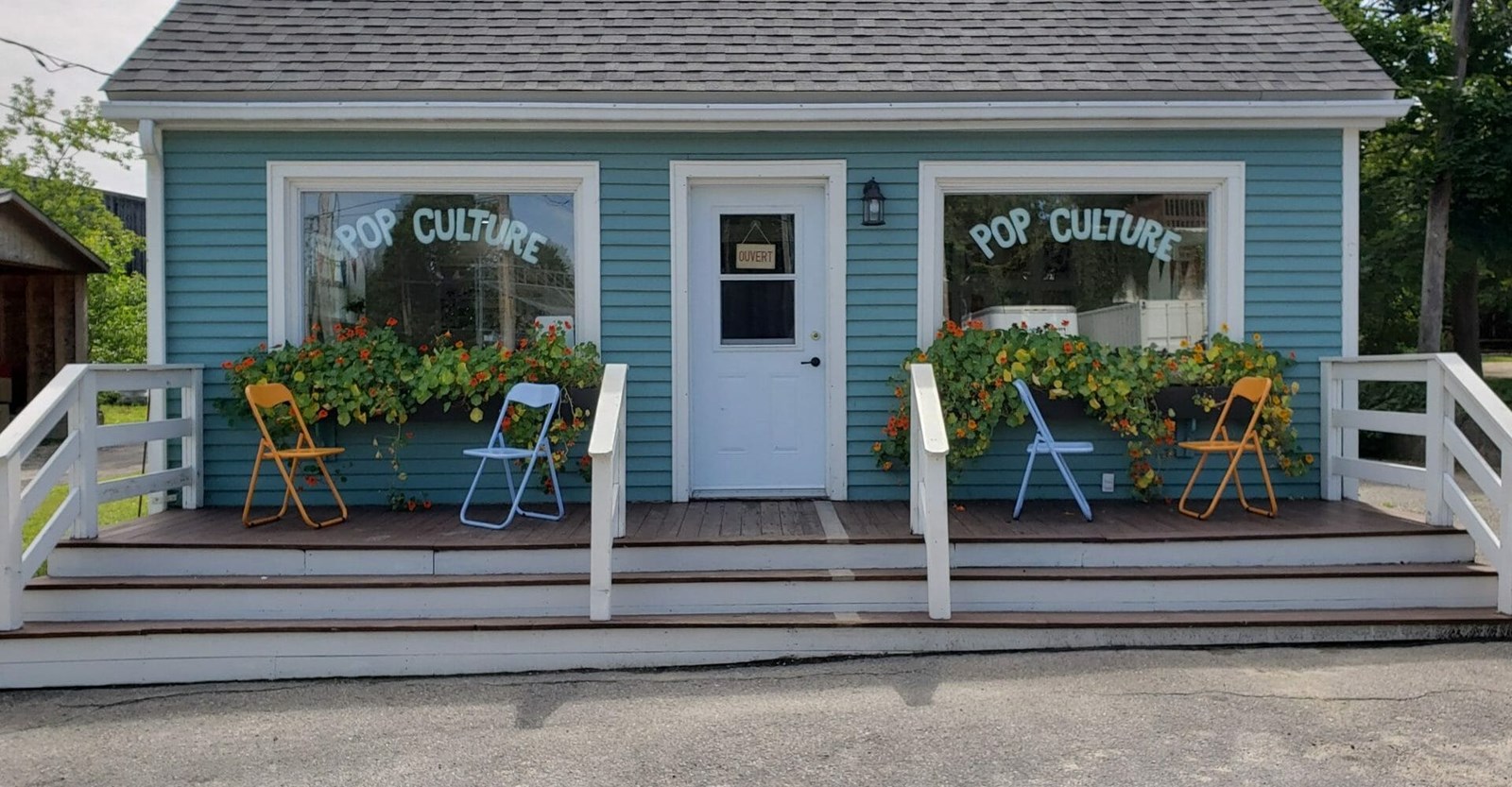 Pop Culture à Hudson