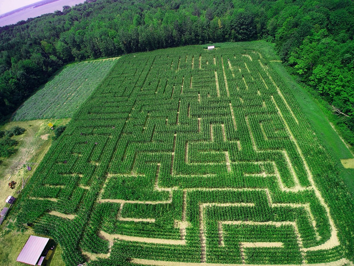 Le labyrinthe