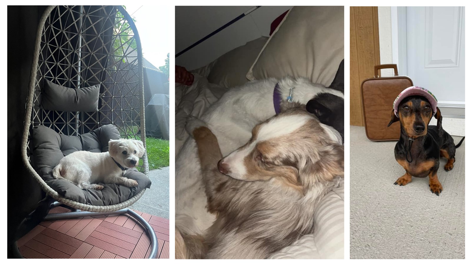 Roko / Wrangler et Zara / Maggie