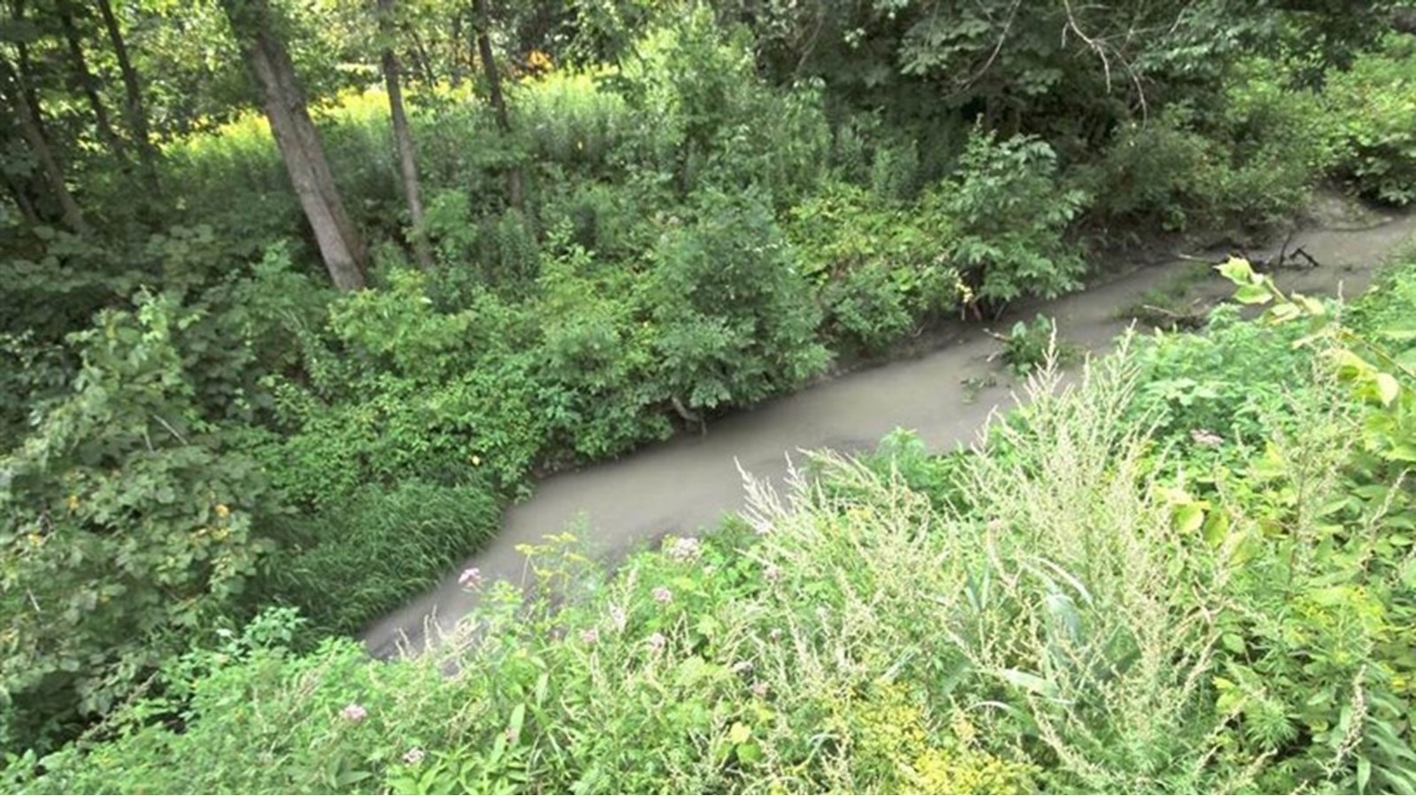 Guided tour of the Quinchien River this Saturday in Saint-Lazare  