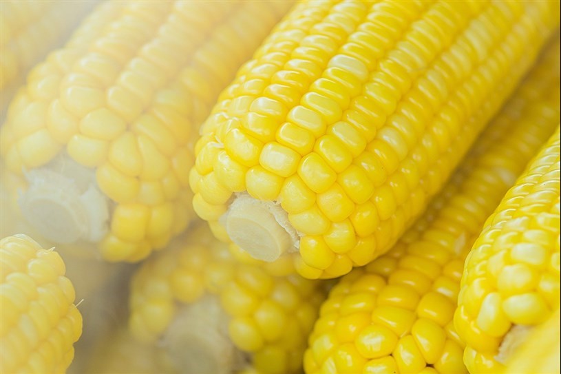Where's the best corncob in the region? 