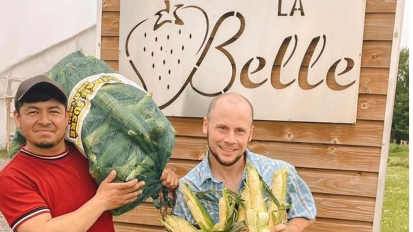 Le meilleur blé d'inde se trouve chez La Belle de Coteau-du-Lac selon nos lecteurs 