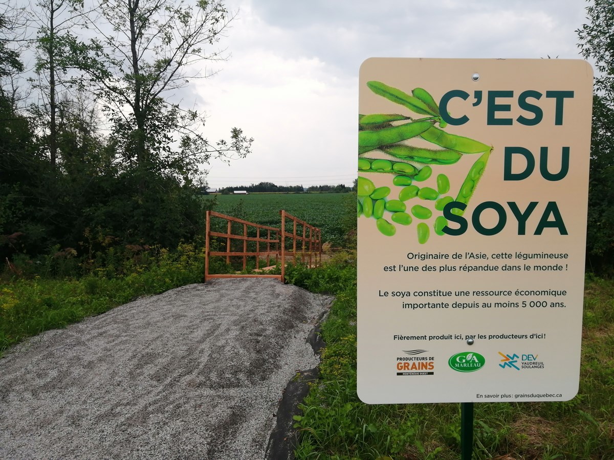 Faites du vélo en découvrant vos producteurs de grains