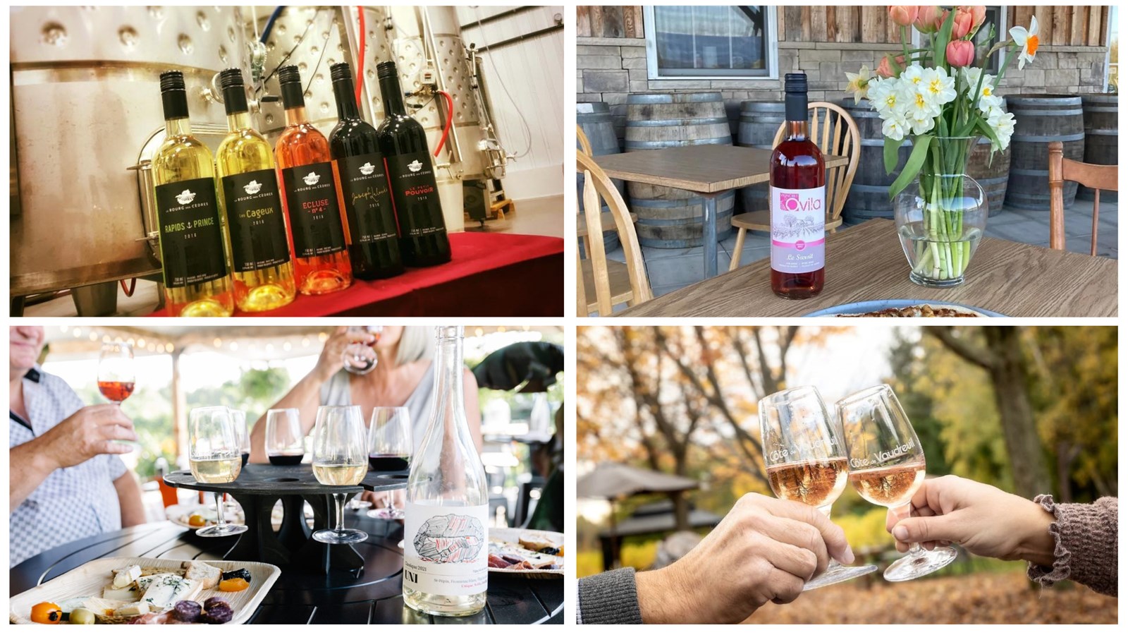 Le 12 septembre, on déguste un vin québécois