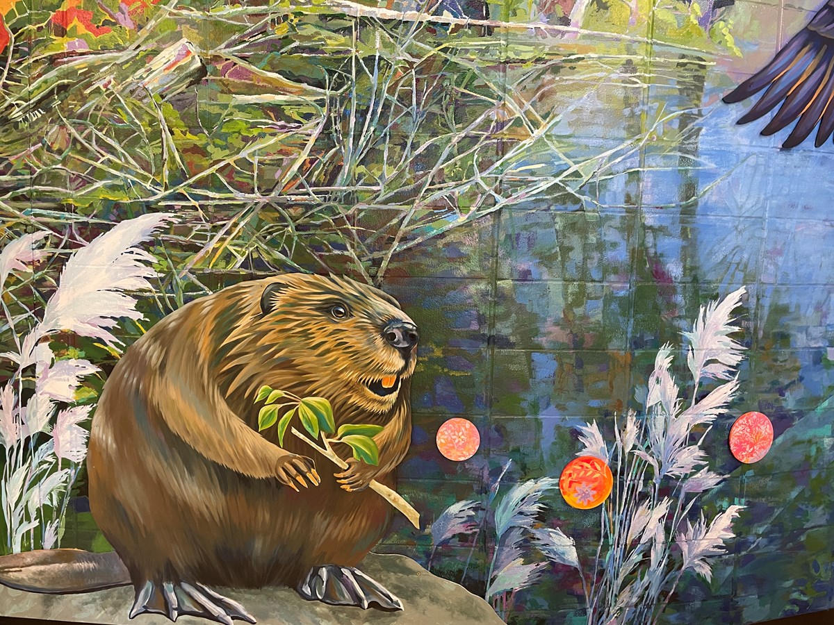Natura prend son envol à l'école Mount Pleasant à Hudson