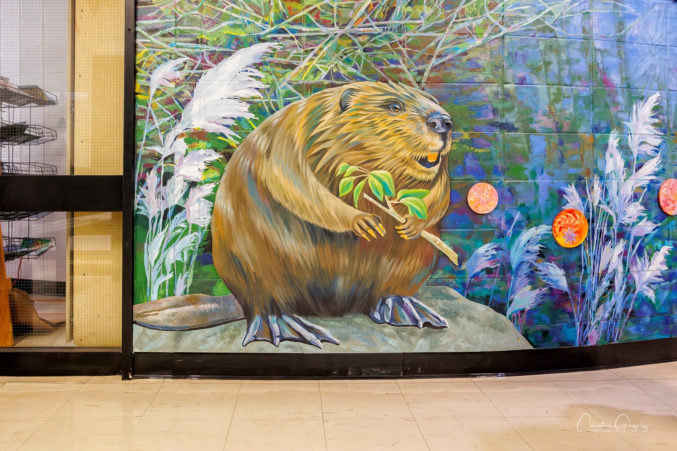 Natura prend son envol à l'école Mount Pleasant à Hudson