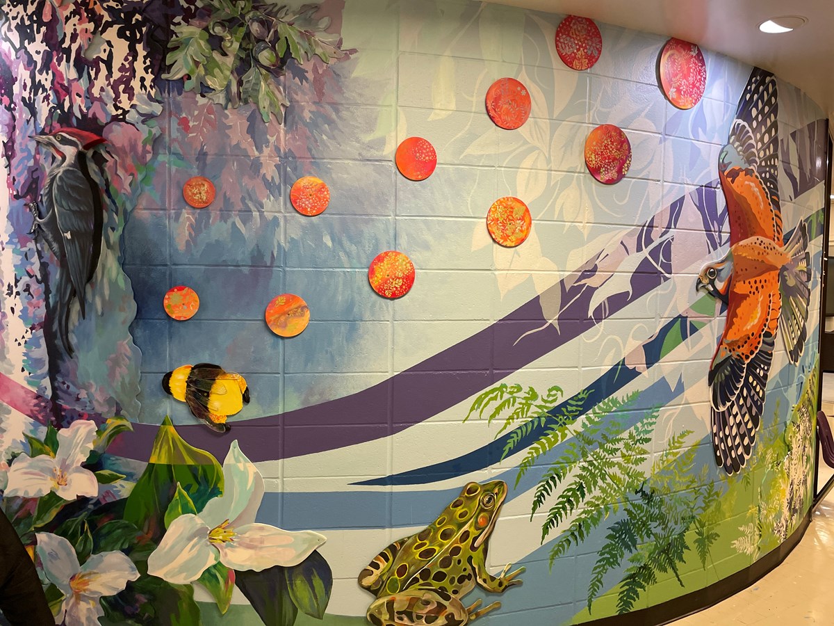 Natura takes flight at Hudson's Mount Pleasant School