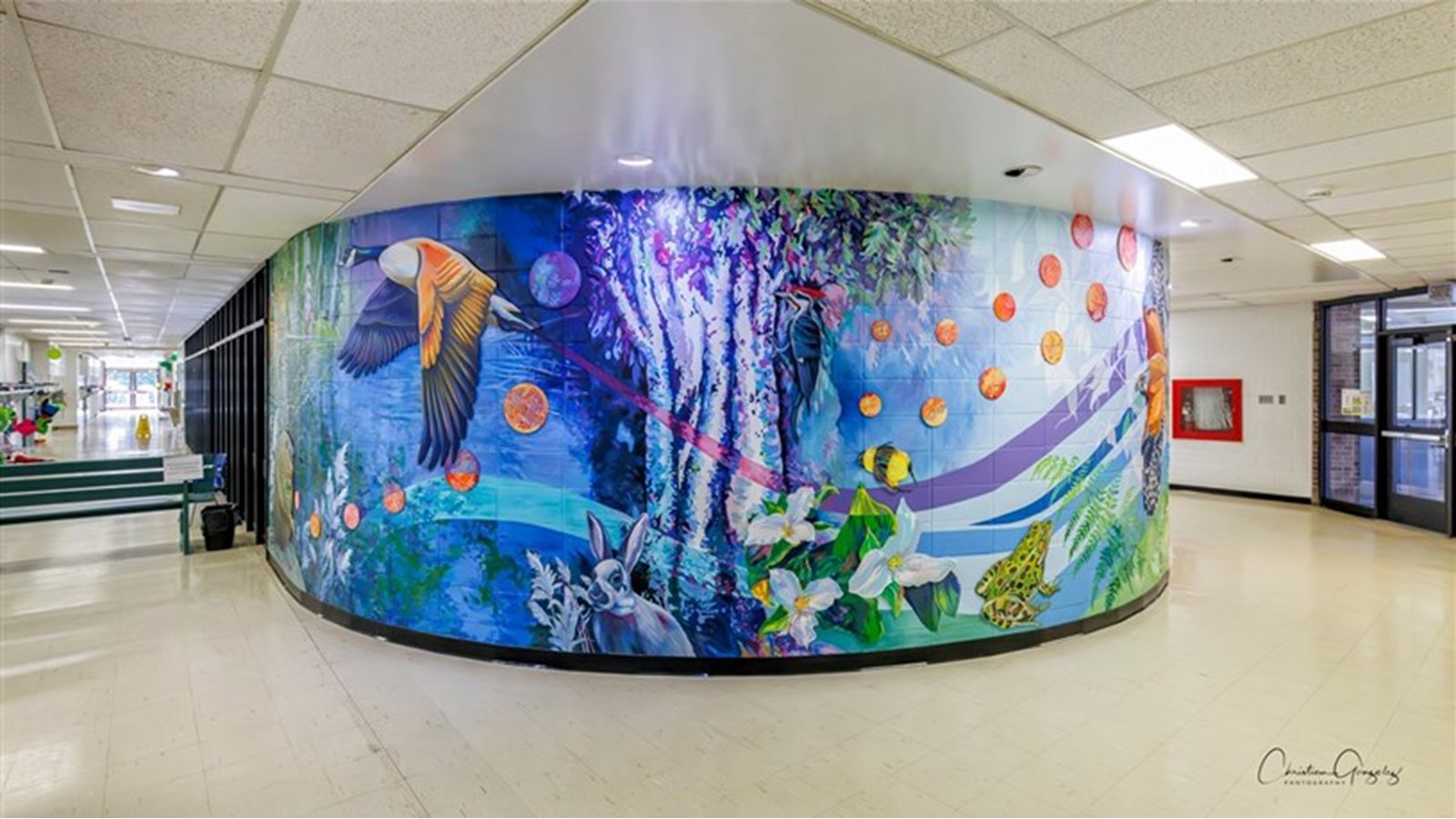 Natura takes flight at Hudson's Mount Pleasant School