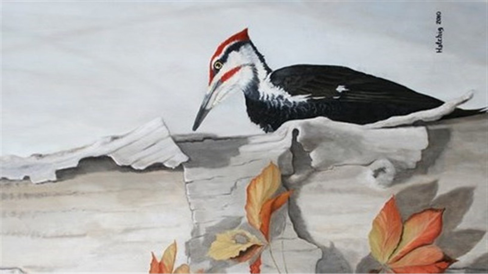 Upcoming art exhibition in Hudson in October