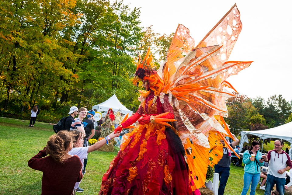 Le Festival des couleurs de Rigaud souligne son 25e anniversaire