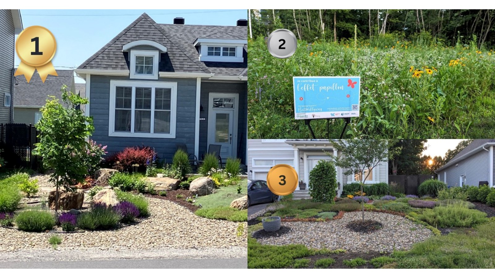 Saint-Lazare announces the winners of its first ecological landscaping contest