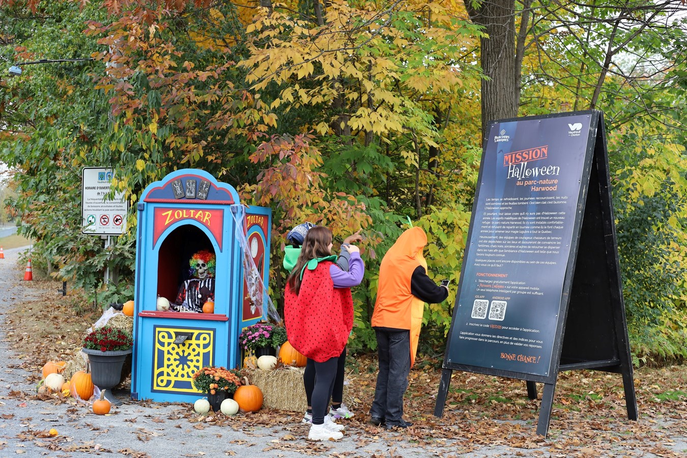 Rappel : le parcours Halloween débute demain au parc-nature Harwood