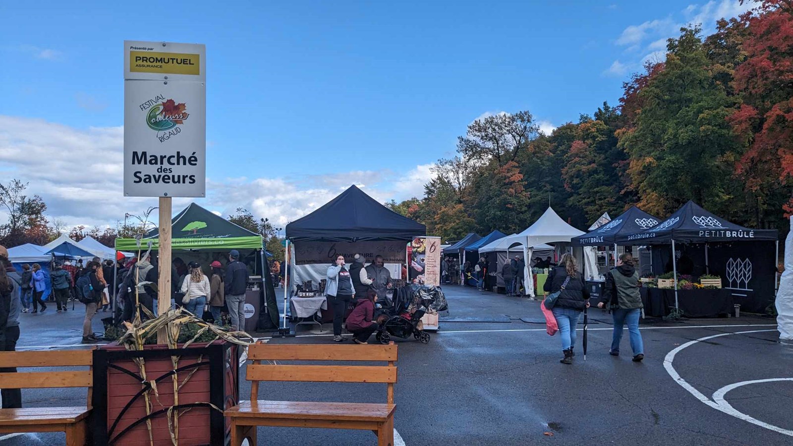 A look back at the 2023 edition of Rigaud's Festival des couleurs   