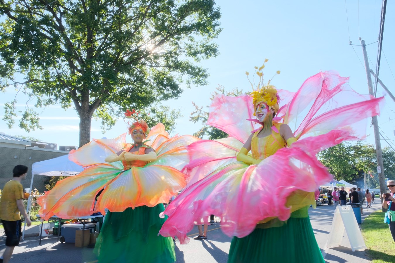 Ville de L'Île-Perrot: send in your best photos