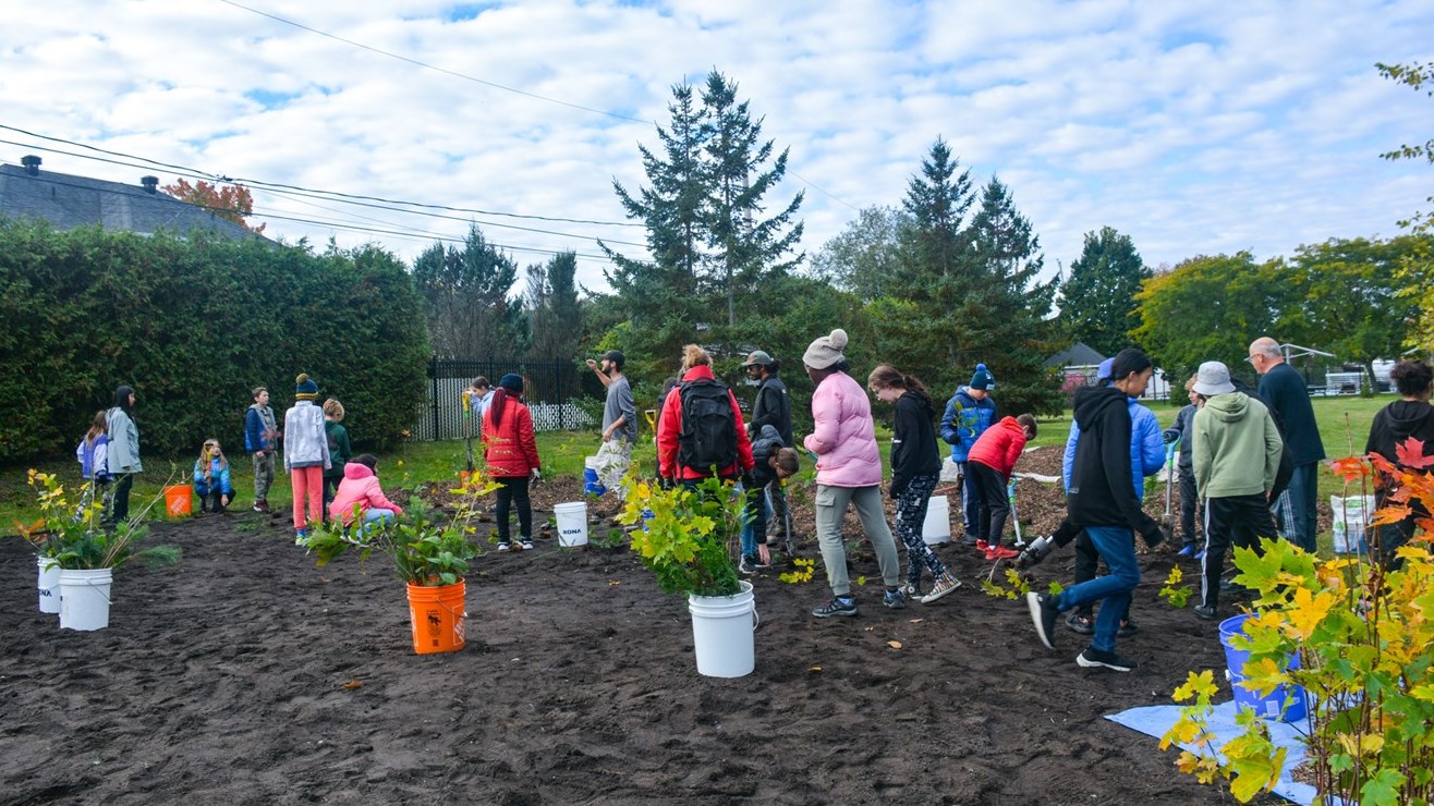 Pincourt plante sa première microforêt de type Miyawaki 