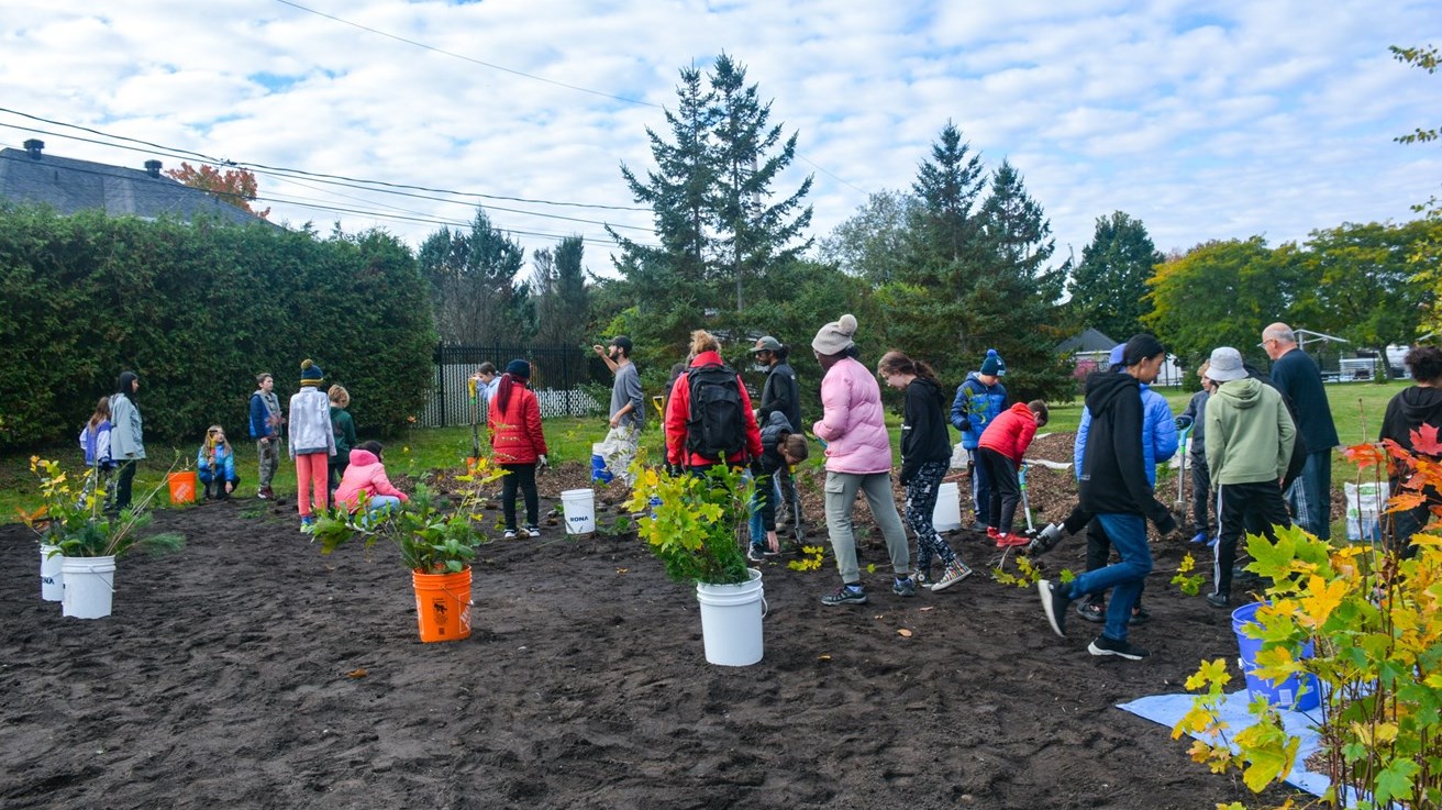  Pincourt plants its first Miyawaki microforest  