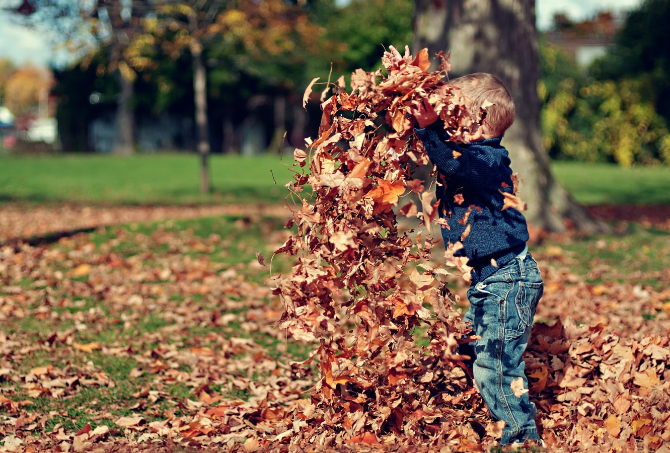Quelle est votre activité d'automne préférée ?