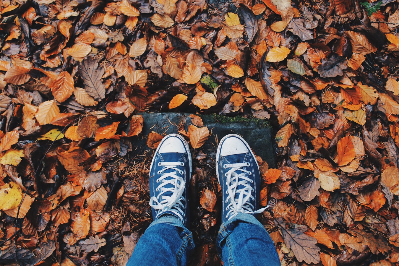 What's your favorite fall activity?