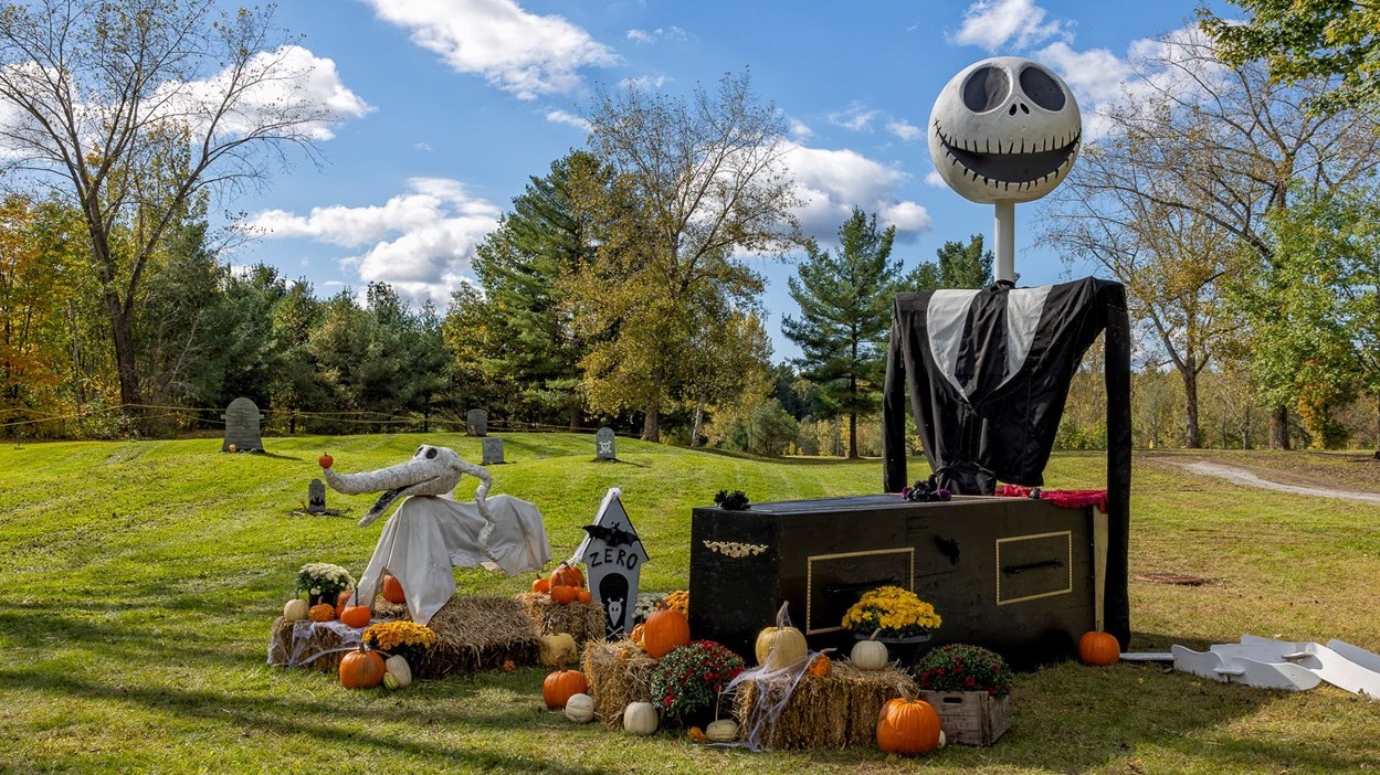 Last chance to complete Mission Halloween at Harwood Nature Park  