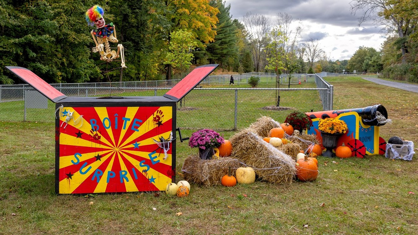 Last chance to complete Mission Halloween at Harwood Nature Park