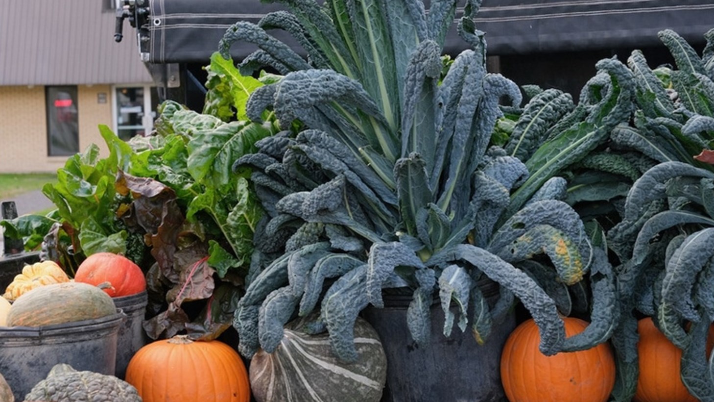 Faites le plein de plantes ornementales et comestibles le 4 novembre à Saint-Lazare 