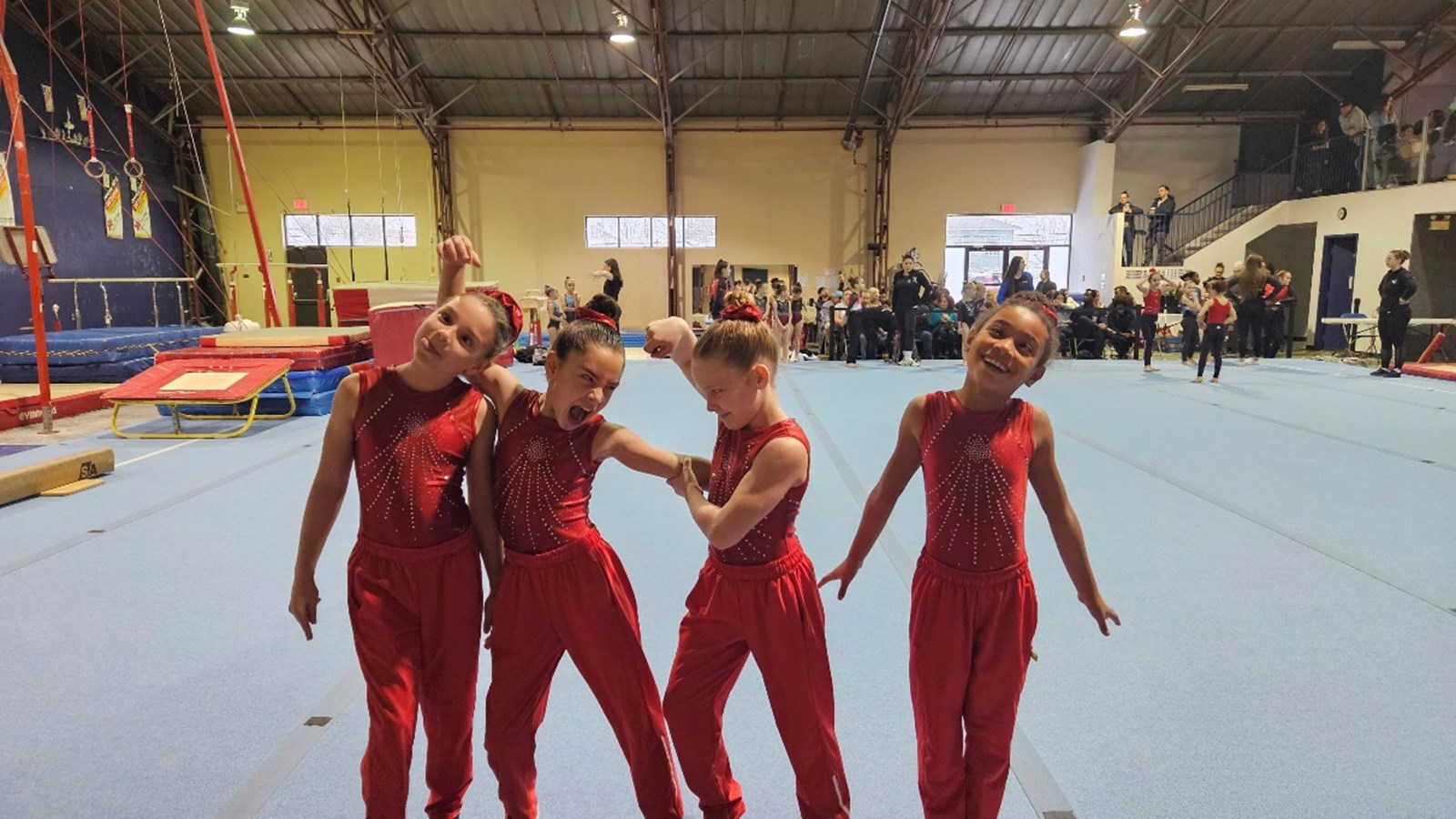 Four Gymini gymnasts shine at the Défi provincial