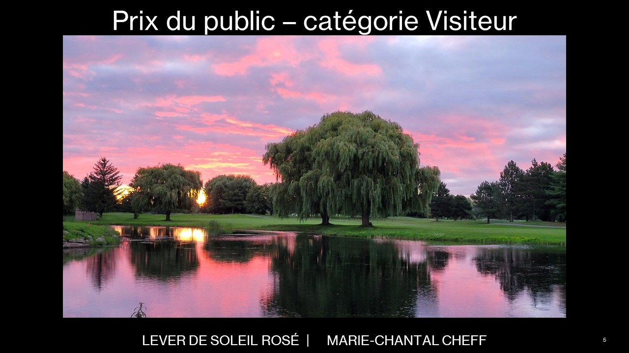 Notre-Dame-de-L'Île-Perrot dévoile les gagnants de son concours de photos 2023