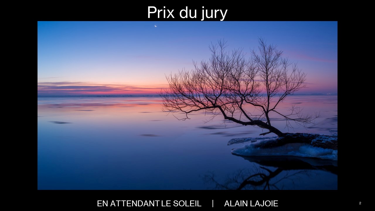 Notre-Dame-de-L'Île-Perrot unveils the winners of its 2023 photo contest 