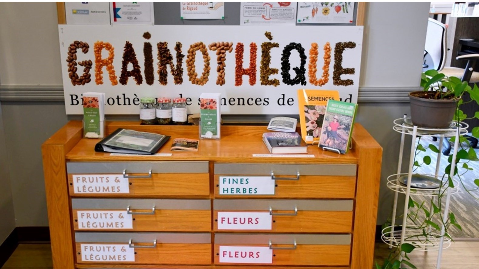 La Grainothèque de Rigaud à la recherche de semences 