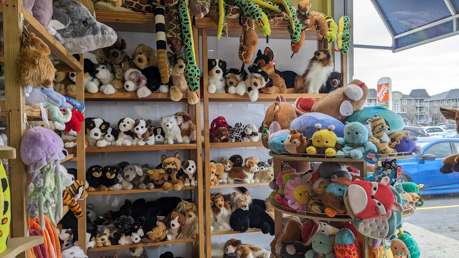 La Ribouldingue: l'adresse favorite des amateurs de jeux de société et jouets 