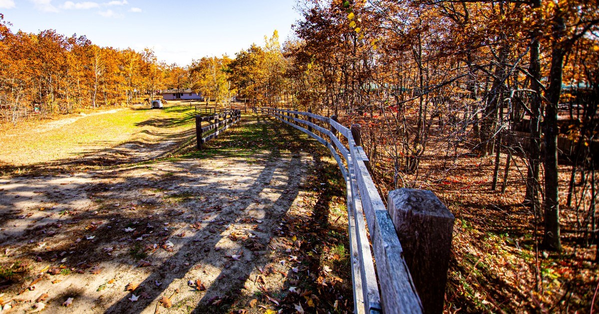 Saint-Lazare lance un sondage pour les usagers du parc nature Les Forestiers 